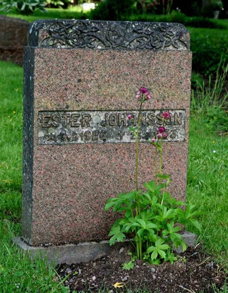 Grave number: A U E     8