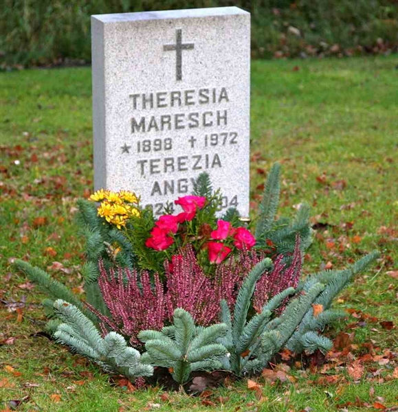 Gravnummer: S 27 D    29