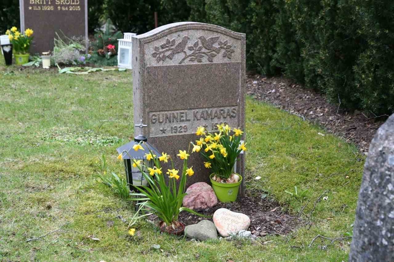 Grave number: S 17B C    10