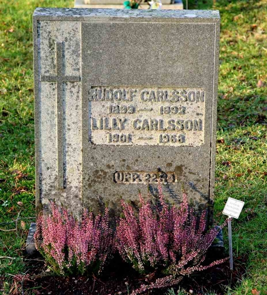 Grave number: S 22D C    13-14