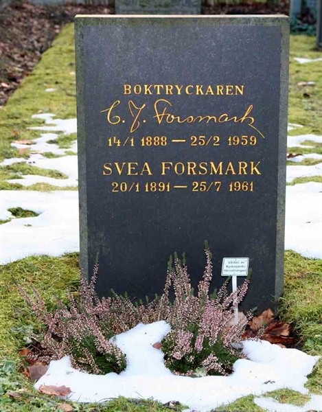 Grave number: S 16B F     1