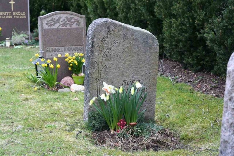 Grave number: S 17B D    10