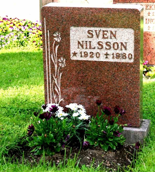 Grave number: A V D     8