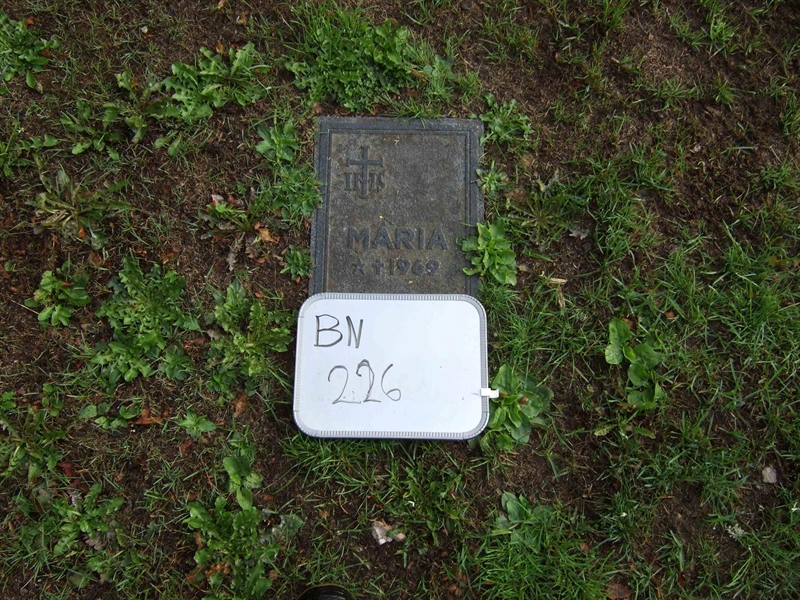 Gravnummer: B N B   105