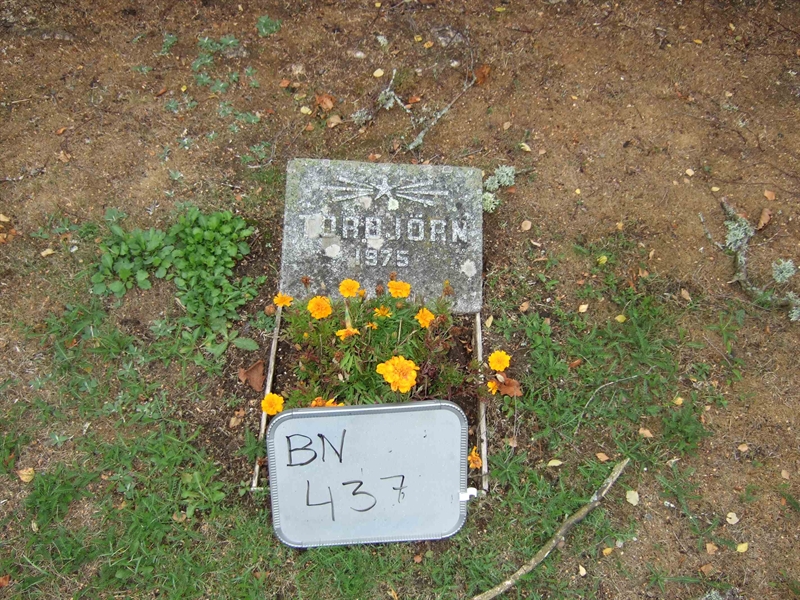 Gravnummer: B N E    19