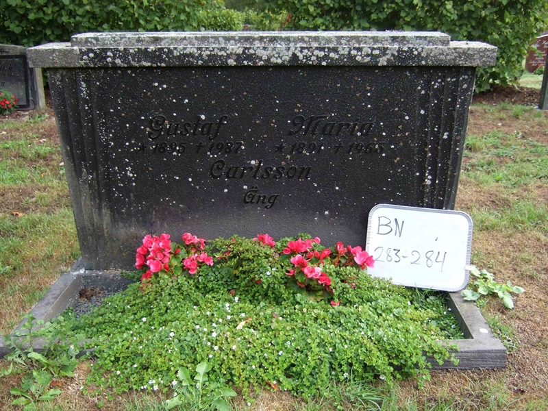 Hautatunnus: B N B    31-32