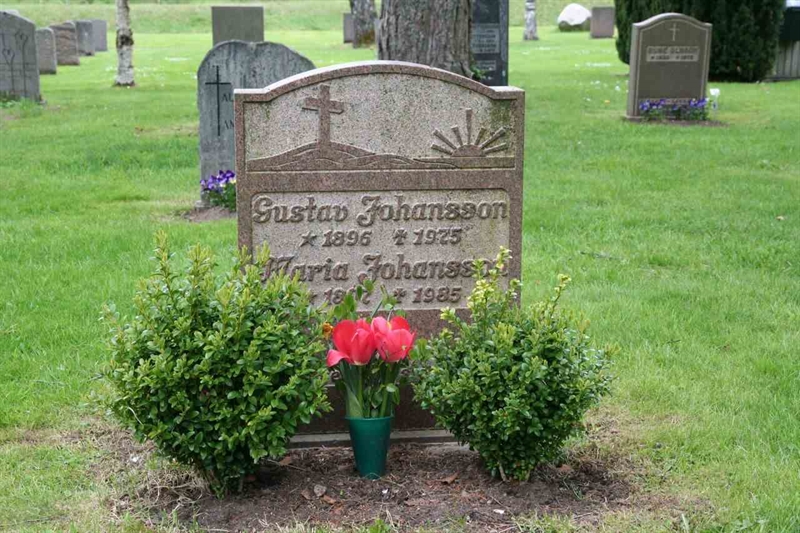 Gravnummer: S 19A D    11-12