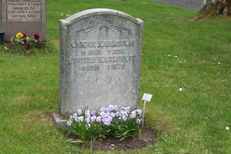Grave number: S 19B C    13-14