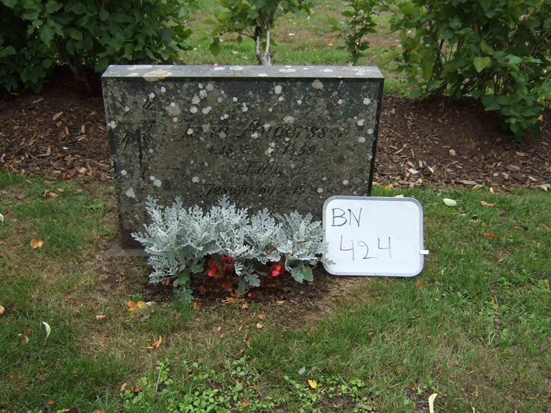 Grave number: B N C   130
