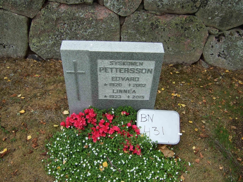 Hautatunnus: B N E     5