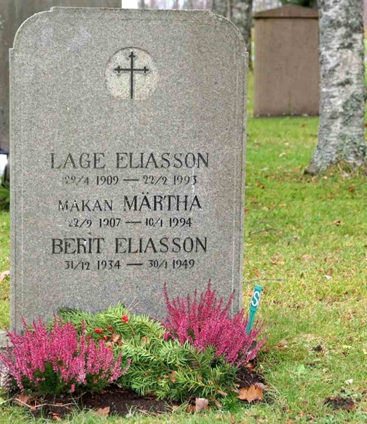 Gravnummer: S 24D B     6-8