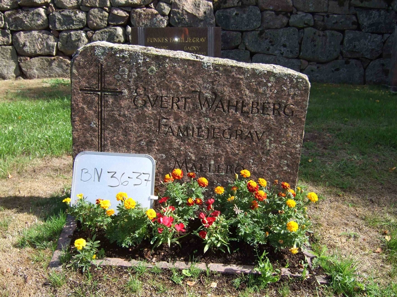 Gravnummer: B N F    50-51