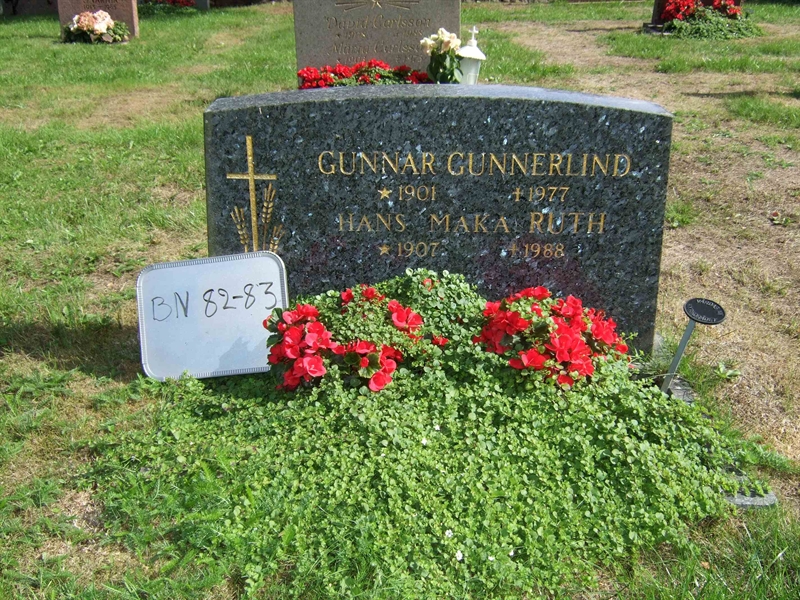 Gravnummer: B N F   116-117