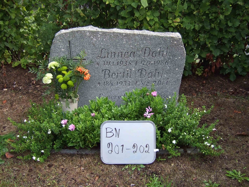 Gravnummer: B N C    23-24