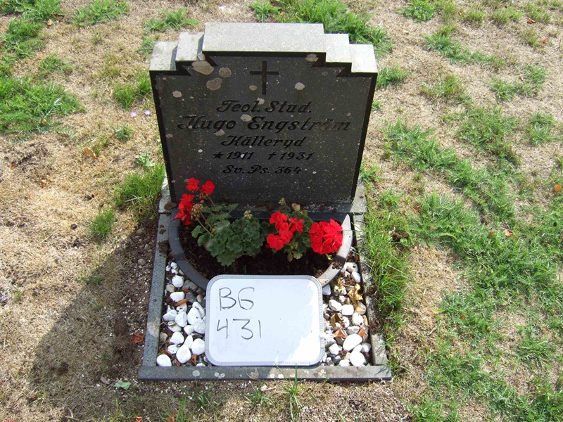 Gravnummer: B G D     7