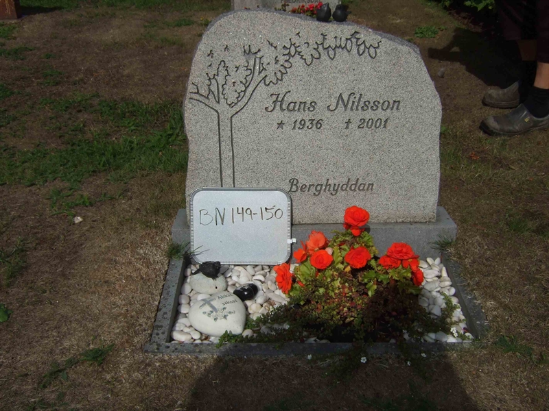 Hautatunnus: B N C    95-96