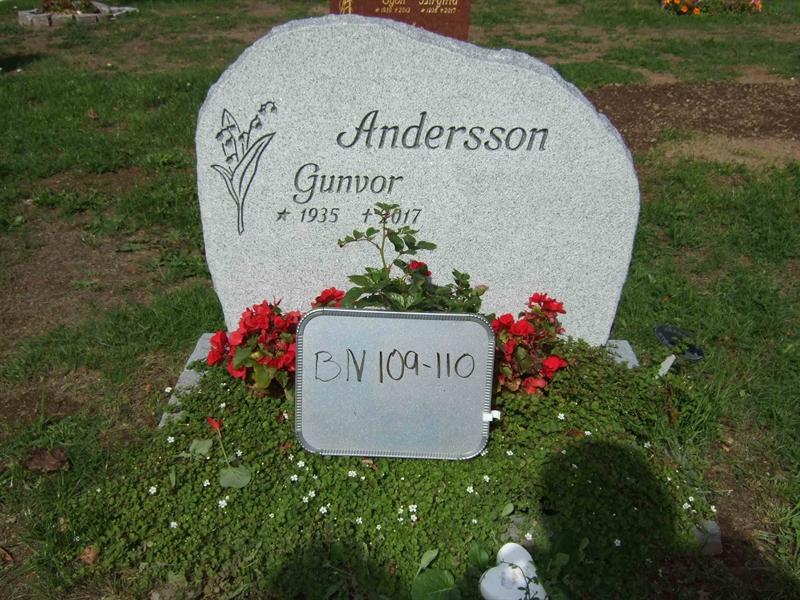 Grave number: B N C   111-112