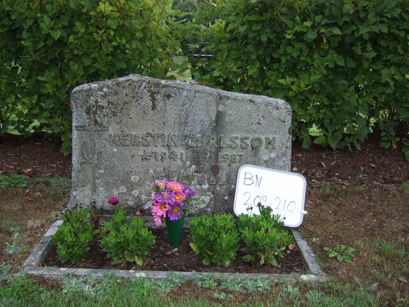 Hautatunnus: B N C    15-16