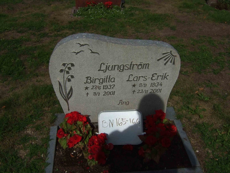 Hautatunnus: B N C    57-58