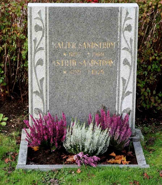 Grave number: F Ö B    95-96