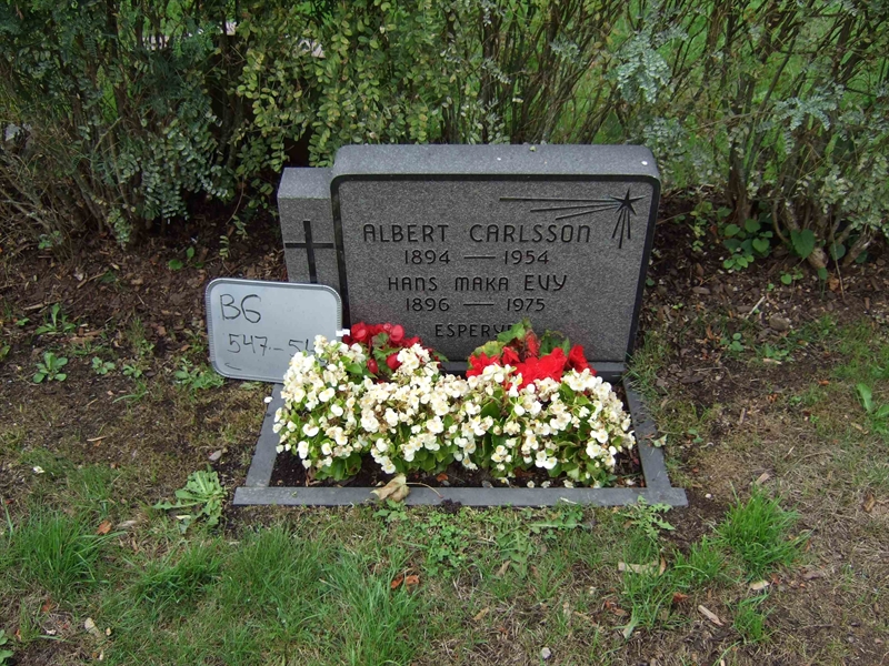 Hautatunnus: B G E    47-48