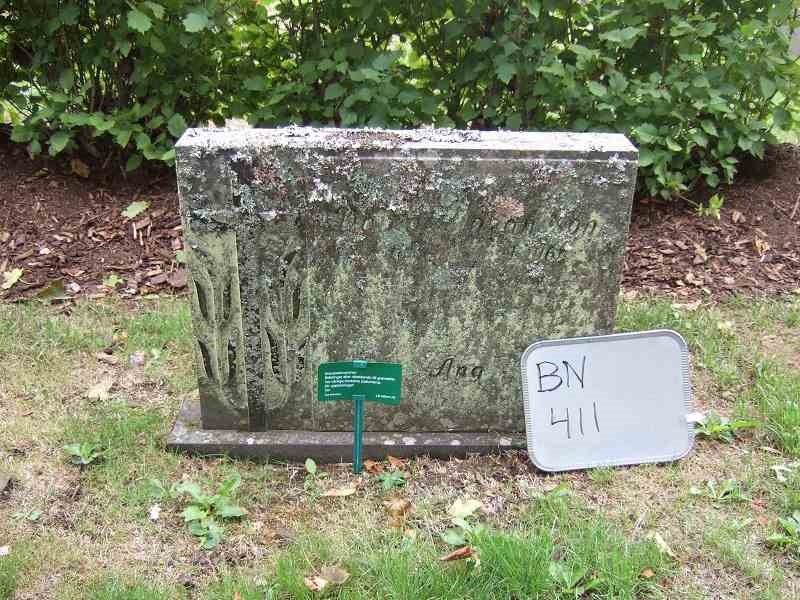Grave number: B N B   101