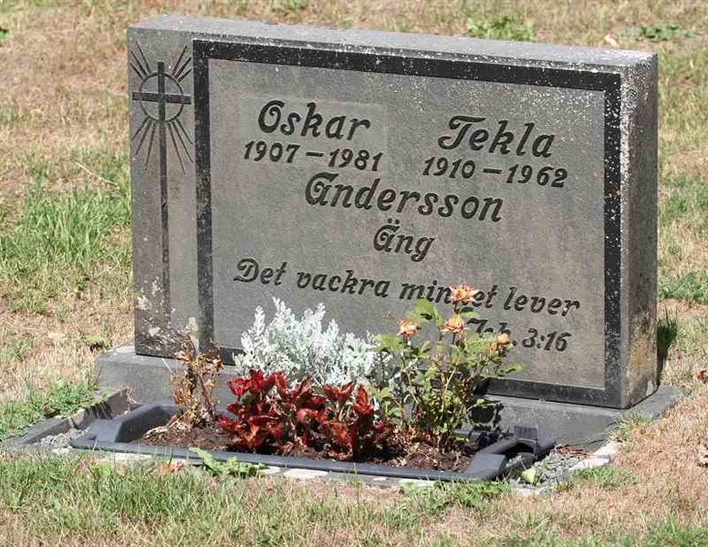 Gravnummer: B N B    49-50