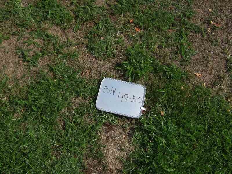 Grave number: B N F 62-63