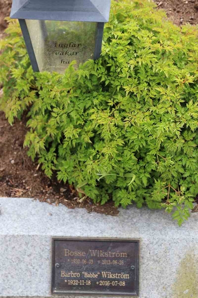 Hautatunnus: S Ask S     1