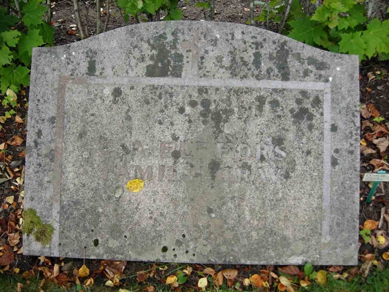 Grave number: A S     4-6