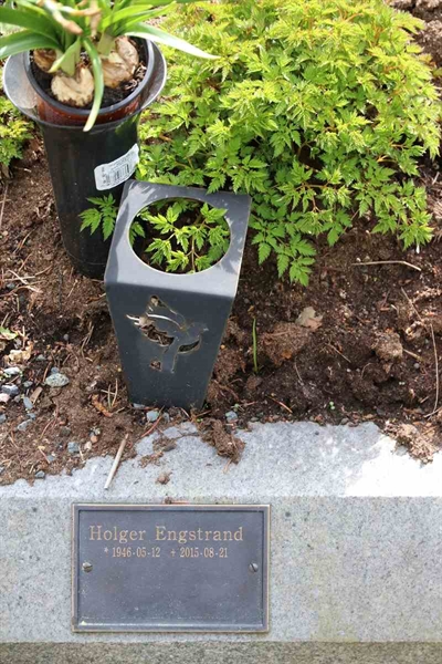 Gravnummer: S Ask S     9