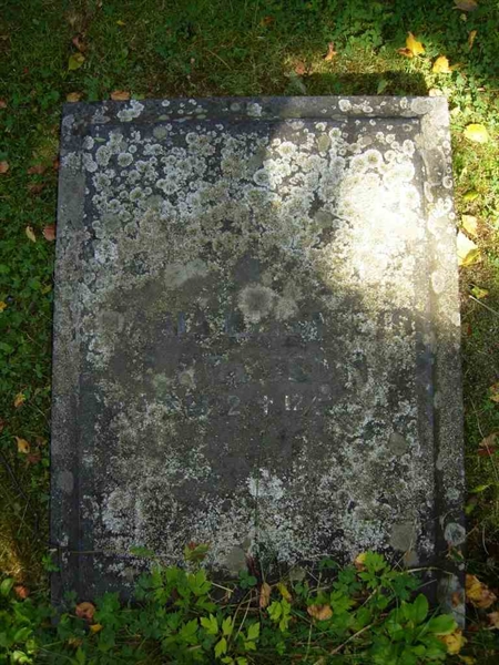 Gravnummer: S 24D F     4