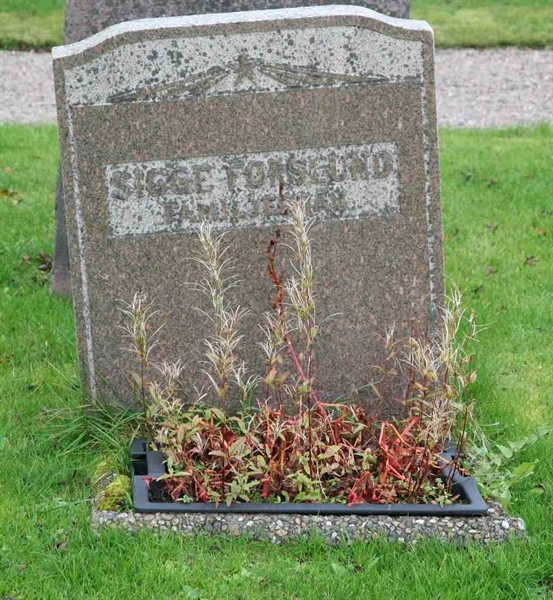 Grave number: F Ö C   231-232