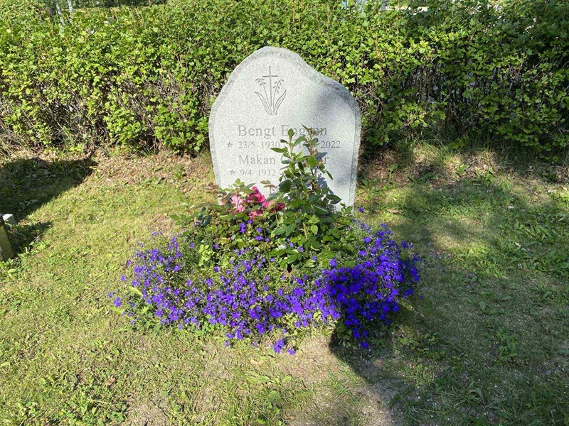 Grave number: 3 20   101