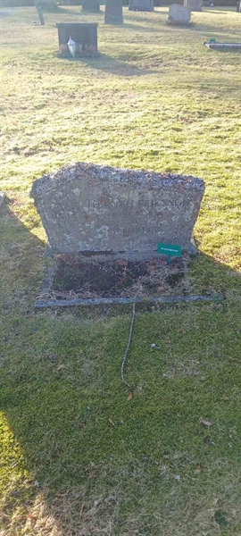 Hautatunnus: 3 Nya E   118