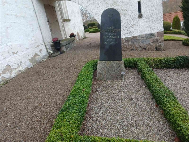 Hautatunnus: Si B     6