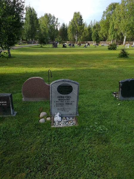 Hautatunnus: NK 20    80-81