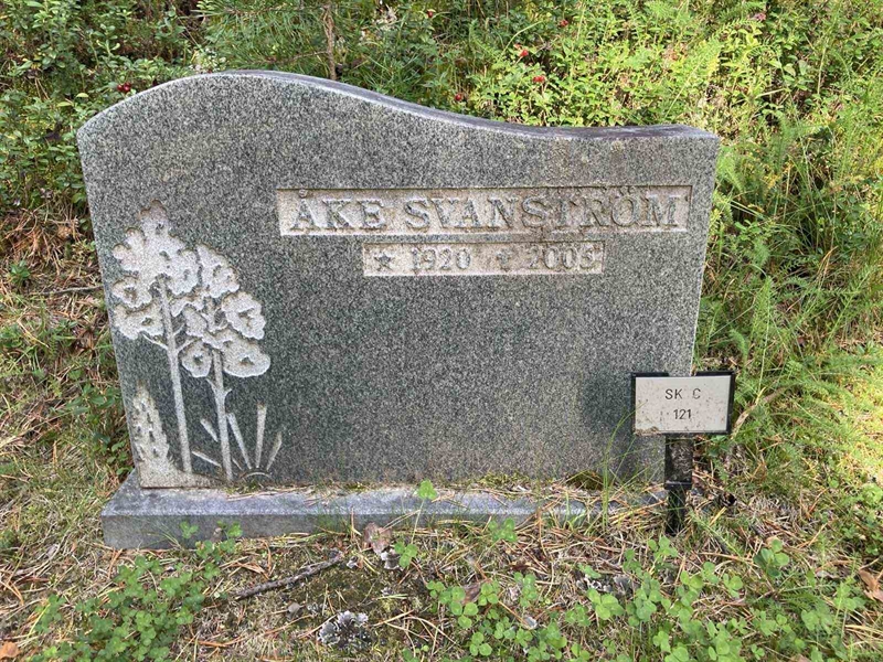 Hautatunnus: SK C 121