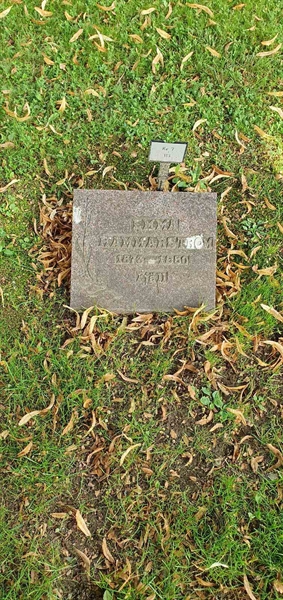 Grave number: Jä 07   113