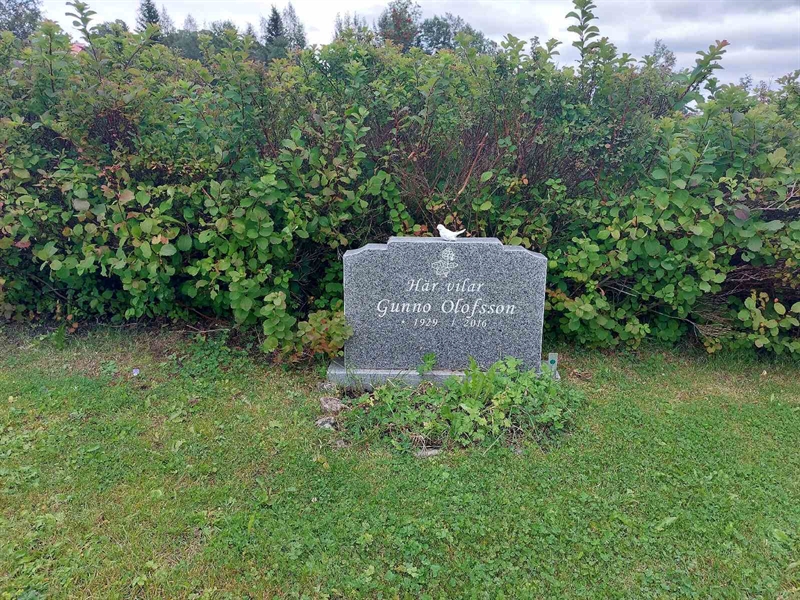 Grave number: OÖ N    11