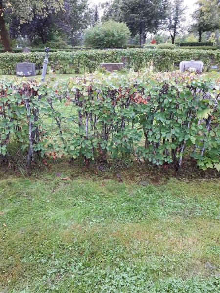 Gravnummer: NK F A   157