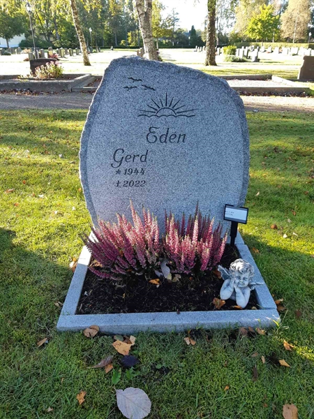 Hautatunnus: Fr 7   954