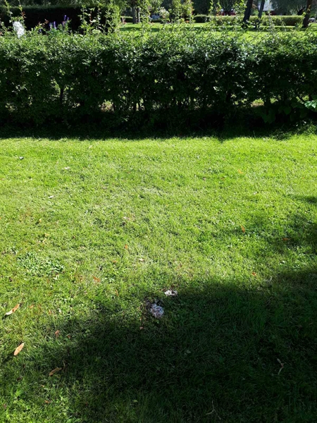 Gravnummer: GK F 4   340