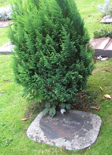Grave number: HN KASTA    39