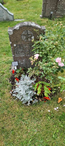 Grave number: M V  143, 144