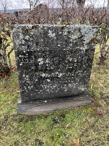 Hautatunnus: Vårv Kv4 164