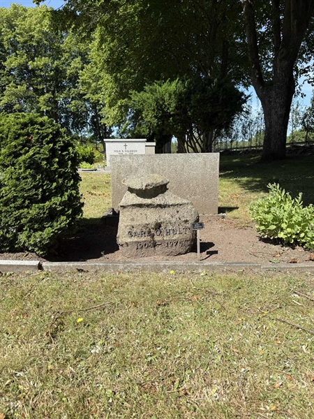 Hautatunnus: TR 1 3 55