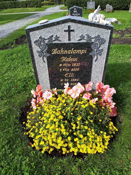 Hautatunnus: NK F D   410