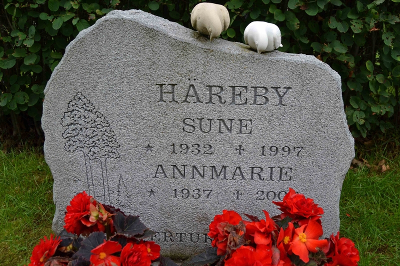 Grave number: 12 2   145-146