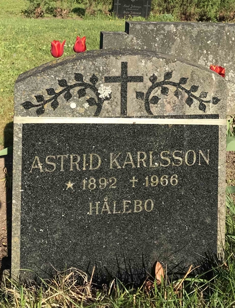 Grave number: KÄÖ A   366